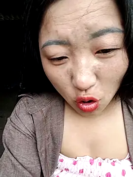 zhen-zo webcam