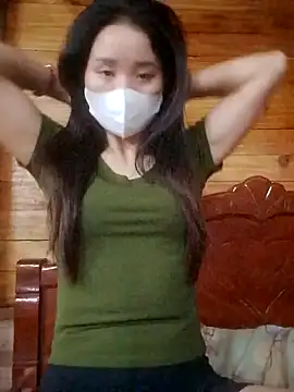 Td3di webcam