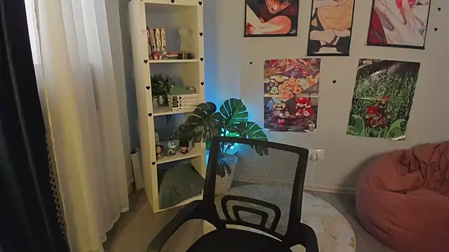 crazysound webcam