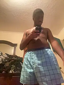 ThickDic28 webcam
