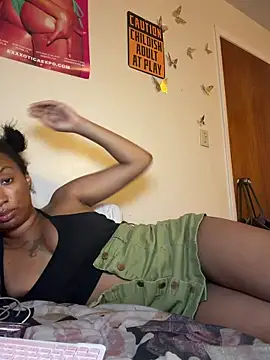 LeBimbo webcam