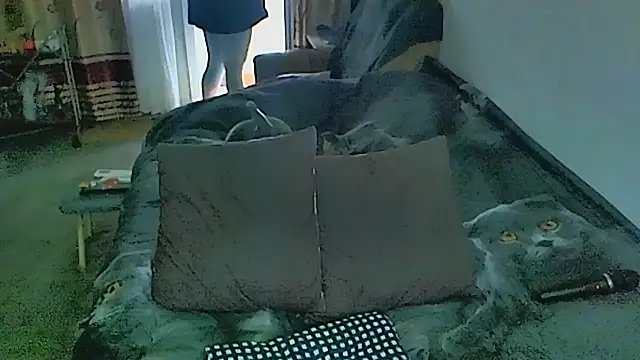 sex2 webcam