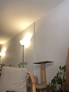 6nalanie webcam