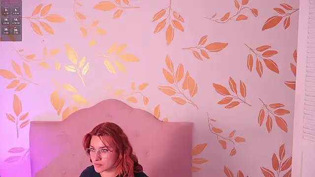 alix_bay webcam