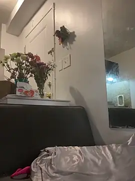 littyleesh1 webcam