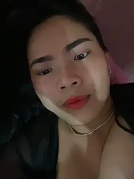 Nul_chal webcam