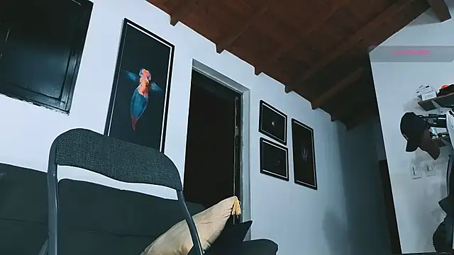 Preview of silvabranko