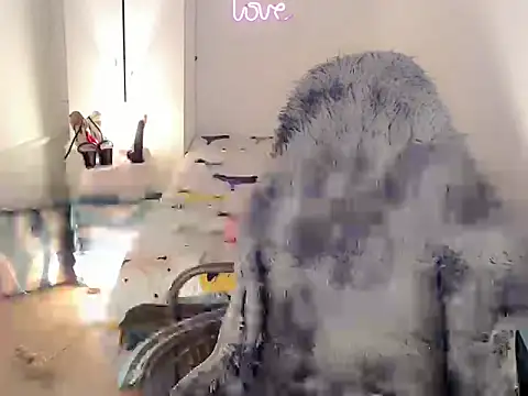 Goddes12inchTS webcam