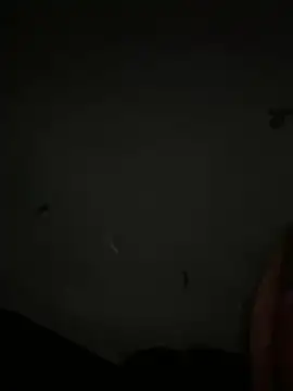 Mbliea - Trans webcam sex chat