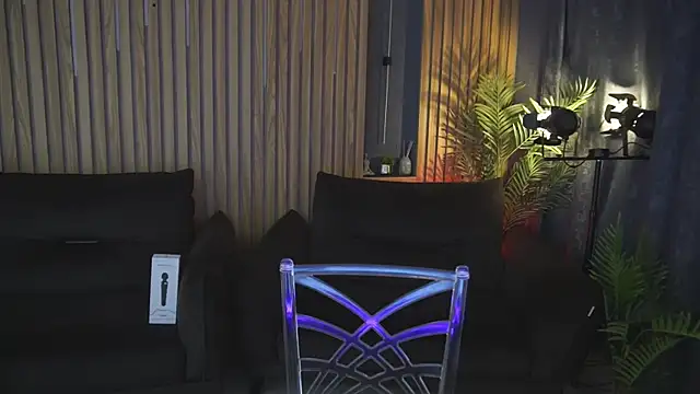 ElysLunar webcam