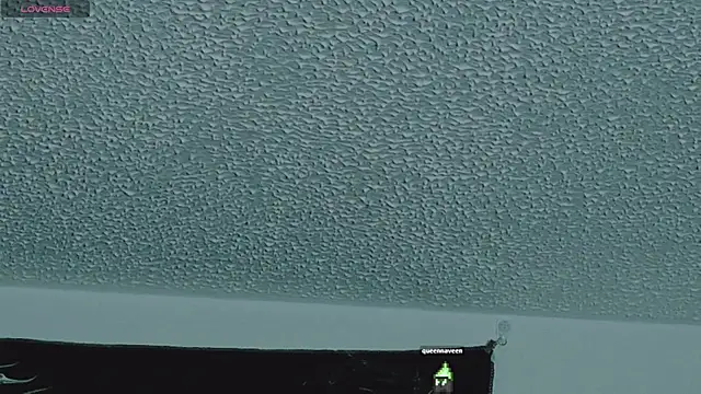 sai_l01 webcam