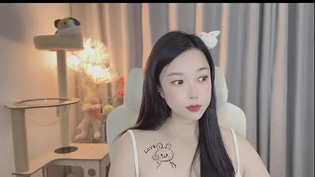 facai-feifei webcam