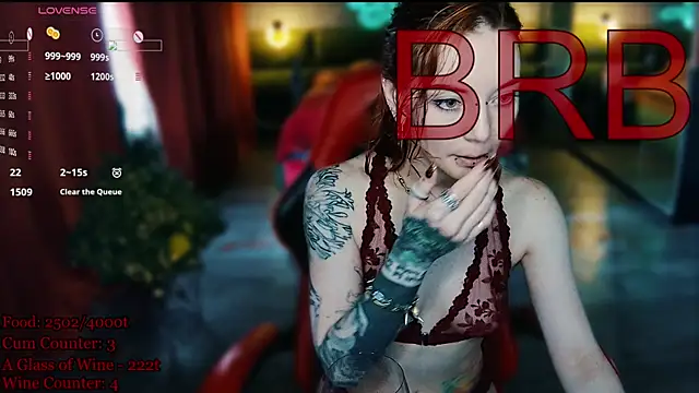 MaxPhoenixx webcam