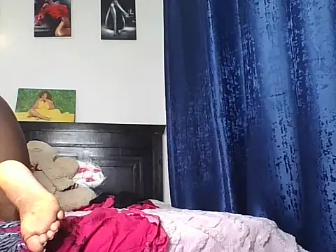 t-Shanshah2 webcam