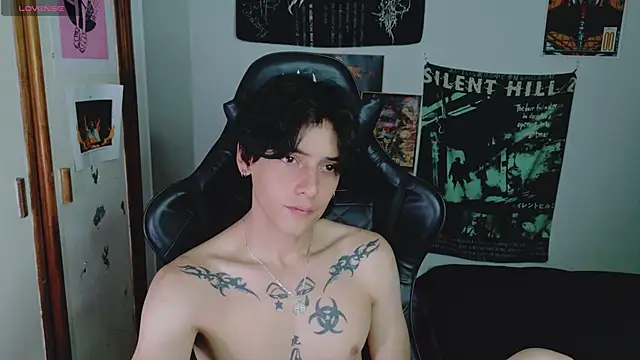sai_l01 webcam