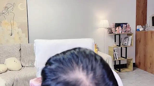 TaixiDiary webcam