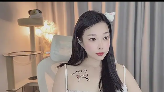 facai-feifei webcam