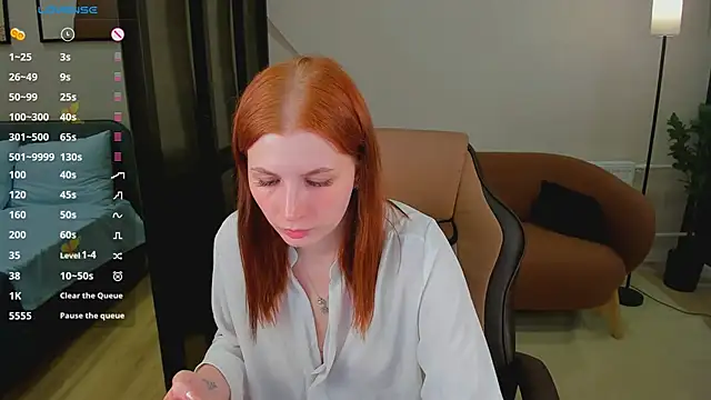 MiraBoom webcam
