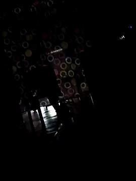 SlBrownCopule webcam
