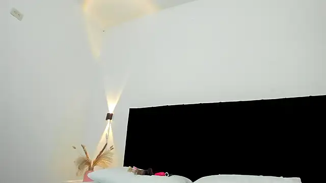 AnayPorter webcam