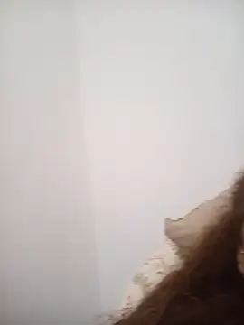 SOLTEIRASIGILO webcam