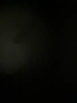 Sasha-Bloom webcam