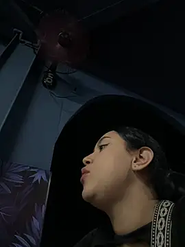 Exotic_street webcam
