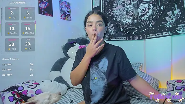 milita_houston webcam