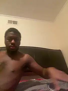 ThickDic28 webcam