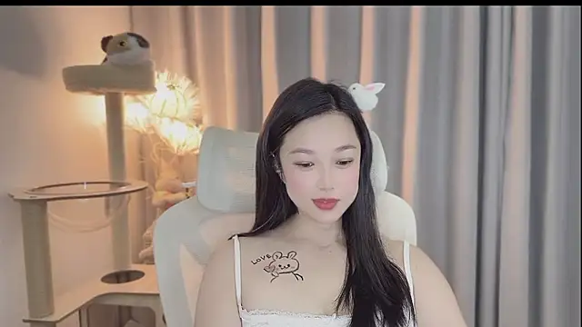facai-feifei webcam