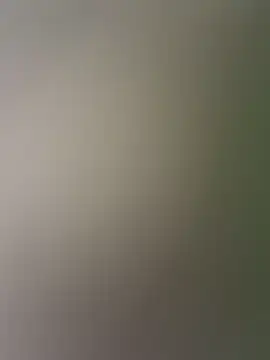 AnnyShore webcam