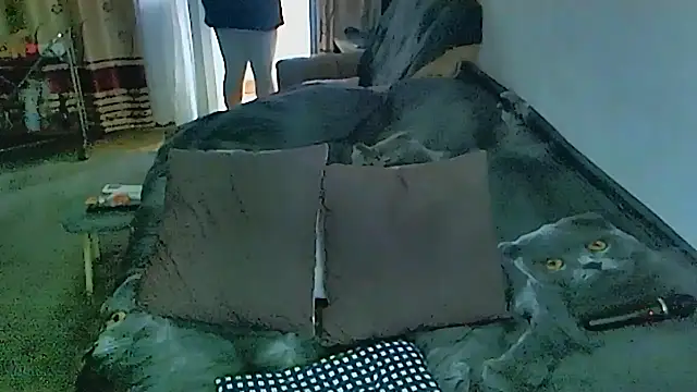 sex2 webcam