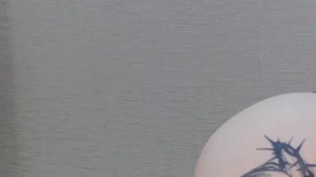 FoxyJoy webcam