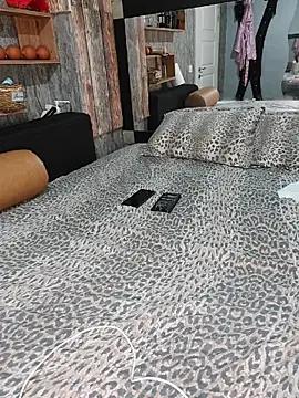 TS_ANNA_ webcam