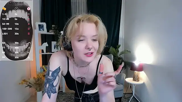 evathority webcam