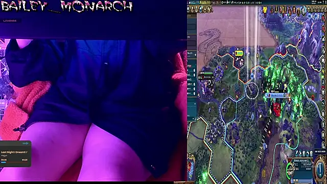 baileymonarch webcam
