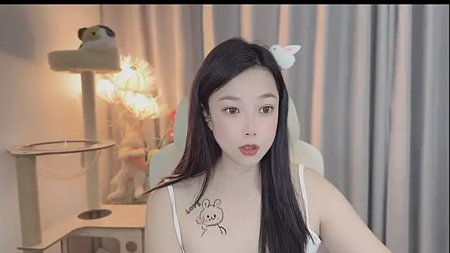 facai-feifei webcam