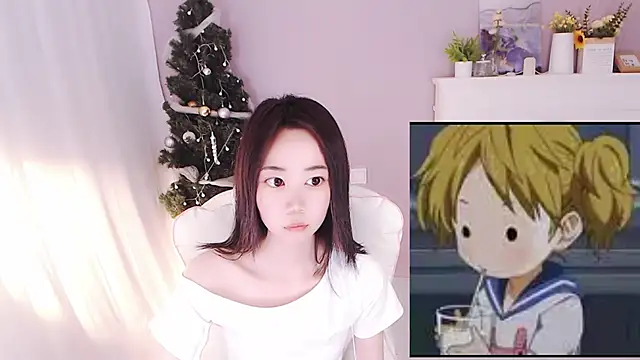 hall-33 webcam