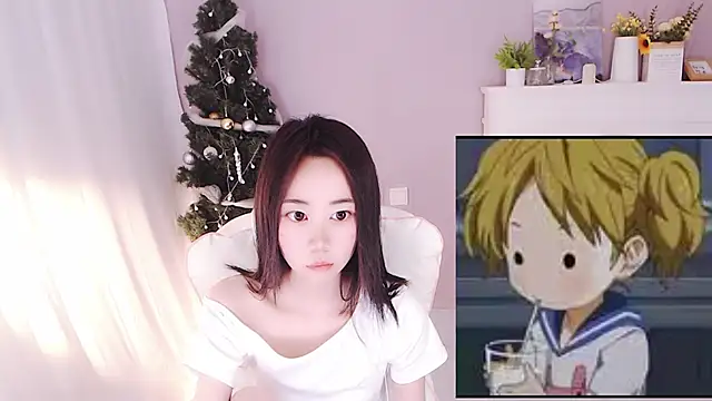 hall-33 webcam