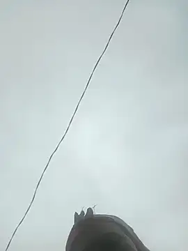 jikey-bibi webcam