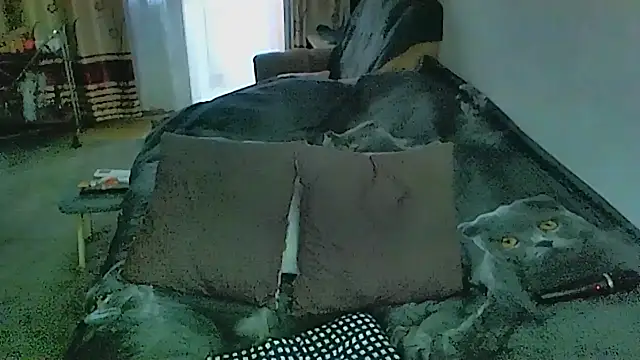 sex2 webcam