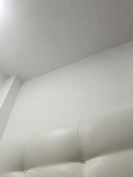 ILEVAL2480 webcam