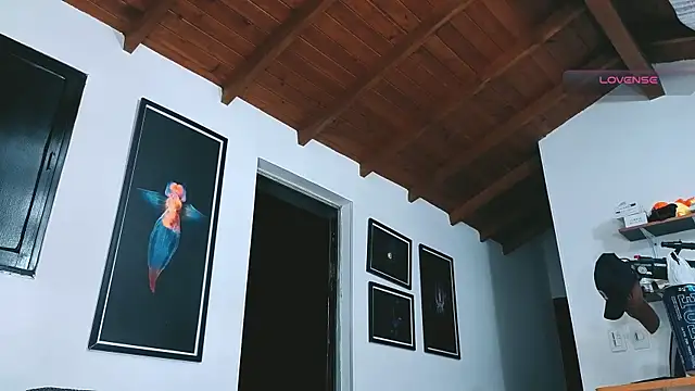 SilvaBranko webcam
