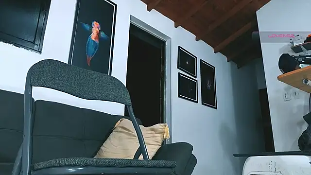 SilvaBranko webcam