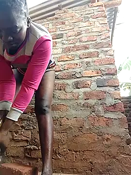shape30 webcam