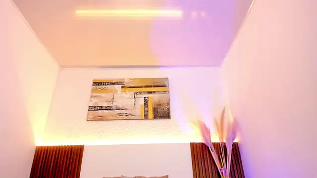 jean_sneider webcam