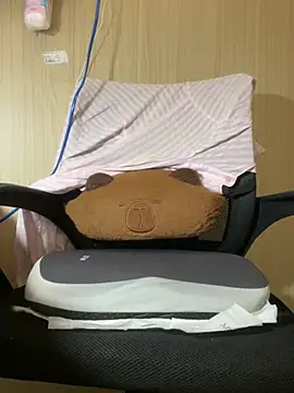 An-An19 webcam