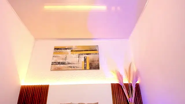 jean_sneider webcam