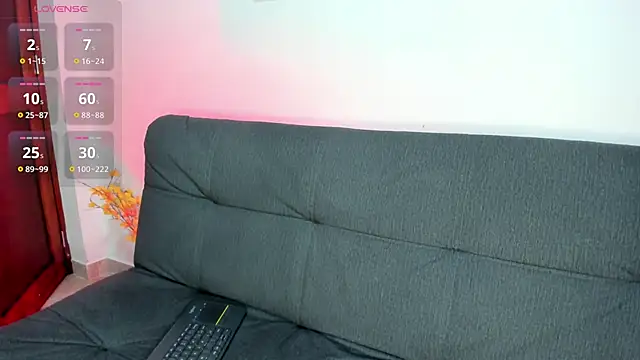 on_tefa webcam