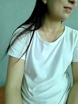 Vanvan68xx webcam
